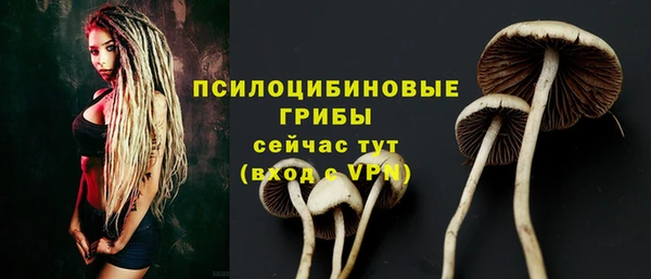 гашик Аркадак