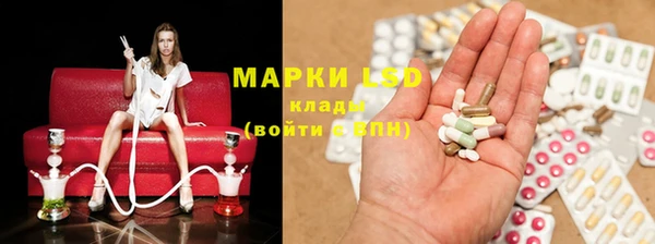 гашик Аркадак