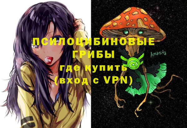 гашик Аркадак