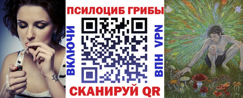 blacksprut онион  Малоархангельск  Псилоцибиновые грибы Psilocybine cubensis 